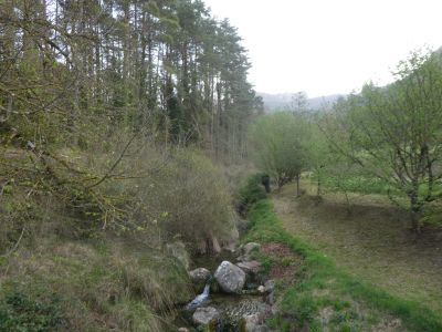Vue Torrent Nou