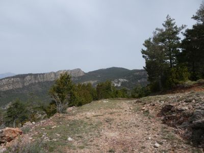 Jaça Espades