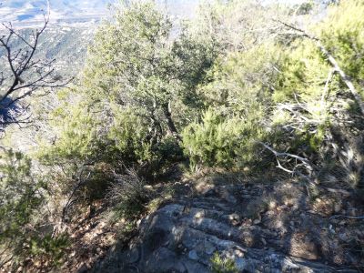 Vue descente Gargantes