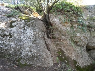Vue Cavalls