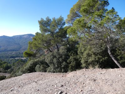 Croisement sentier balisé Cavalls