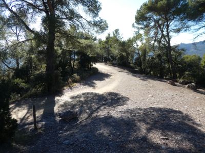 Croisement sentier Robert
