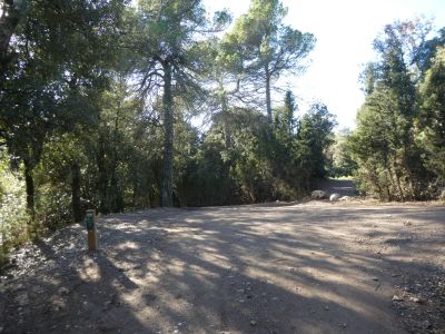 Croisement après Robert 2