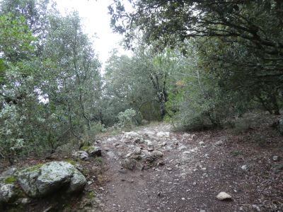 Coll Daví