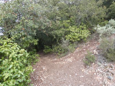 Croisement montée Castellsapera