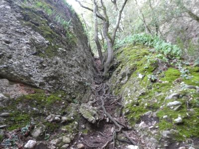 Vue descente Castellsapera