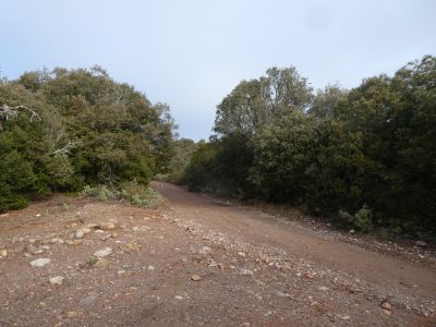 Coll Tres Creus