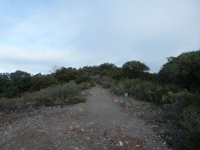 Croisement après Tres Creus
