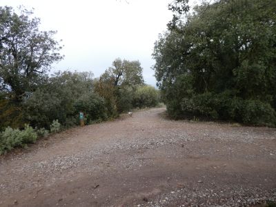 Coll Bofí