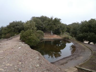 Vue Bassa Mata