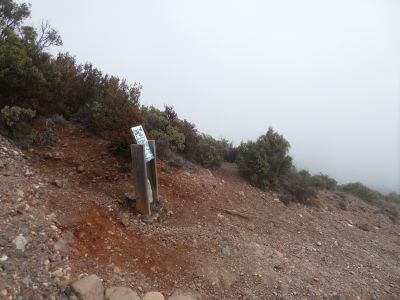 Croisement Montcau