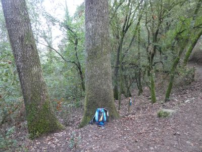Vue Roure Palau