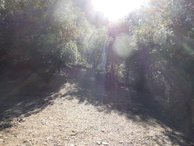 Croisement après Morral