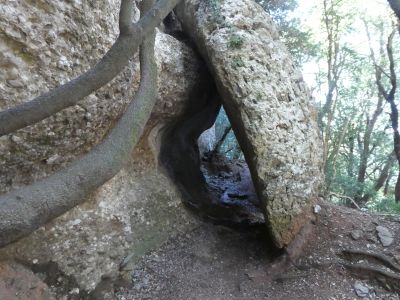 Vue cavité Mola