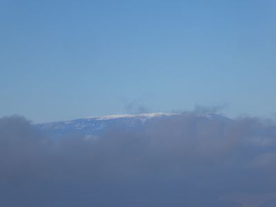 Vue Tossa Pelada