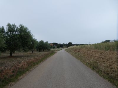 Vue route Sant Pere Navata