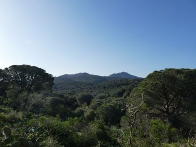Vue sommet