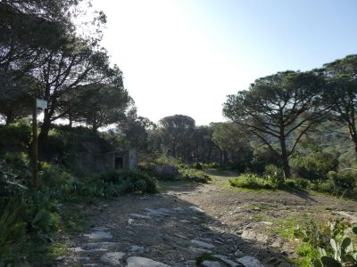Croisement après Carrer Empordà 4
