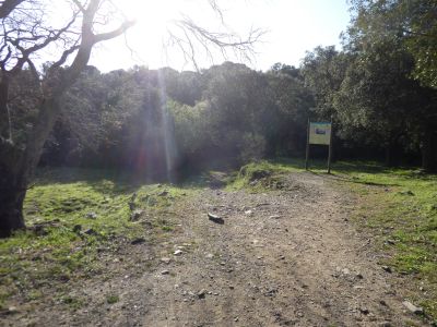 Sant Baldiri