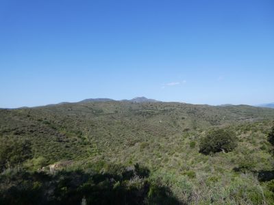 Vue Rodes