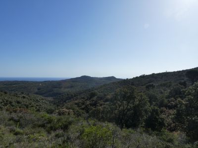Vue Puig Alt