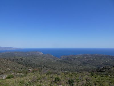 Vue Taballera