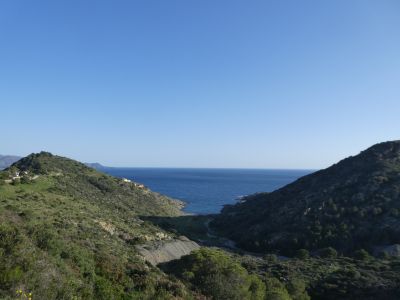 Vue Tamariua