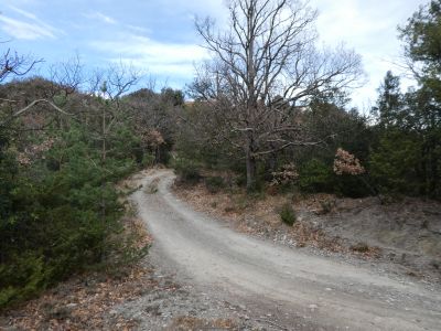 Coll Sant Julià