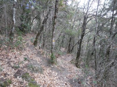 Croisement montée Fusta