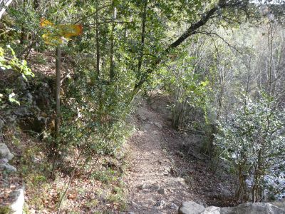 Sant Aniol Aguja 2