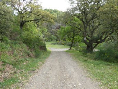 Croisement après Sobre Baix