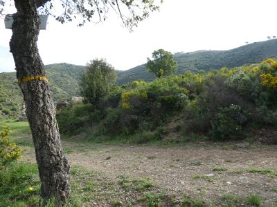 Croisement Martí Vallmala