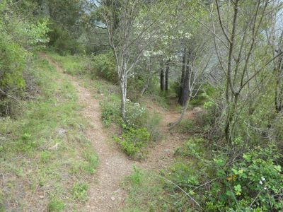 Croisement Sant Miquel