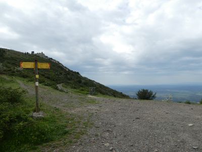 Coll Sant Miquel 2