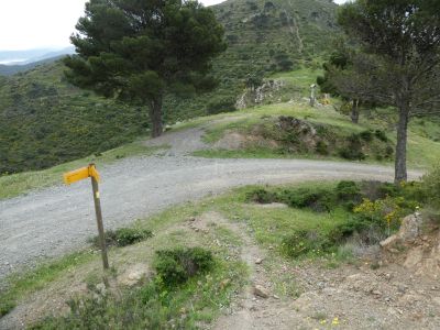 Croisement avant Patiràs