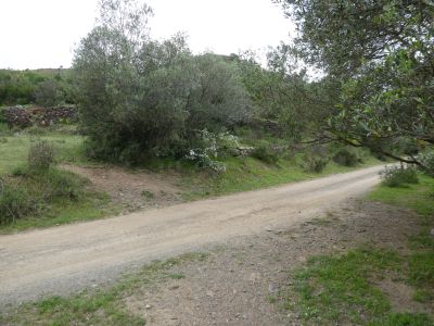 Croisement après Valleta 2
