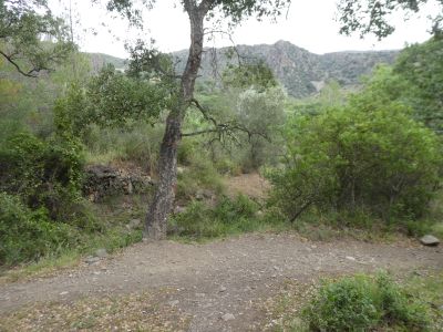 Croisement avant Montjoi