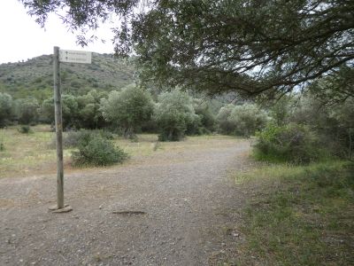 Croisement avant Montjoi 2