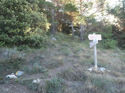 Croisement après Fiola 2