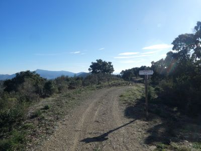 Croisement après Rossa