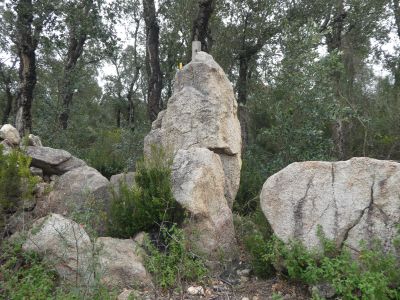 Vue Pedra Comanera II