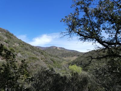 Vue Castell Requesens