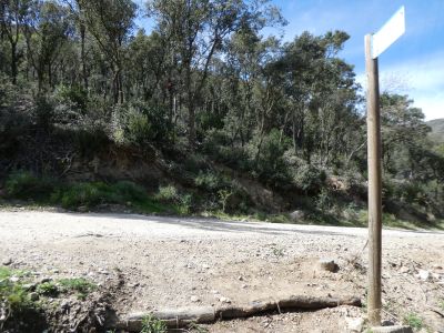 Croisement après Serradora 2