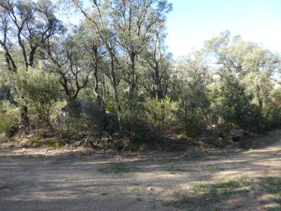 Croisement après Corta 4