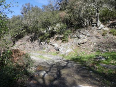 Croisement après Auleda