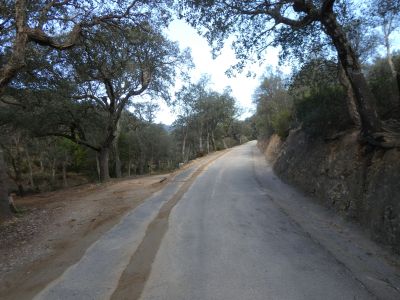 Croisement cimetière Cantallops