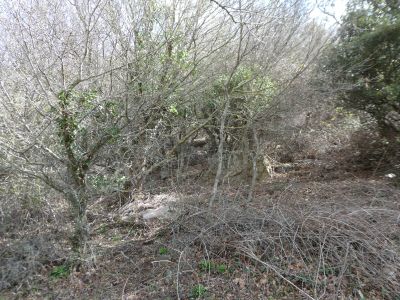 Croisement Pinyer 2 2