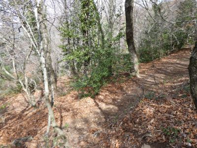 Croisement Pinyer 1 2