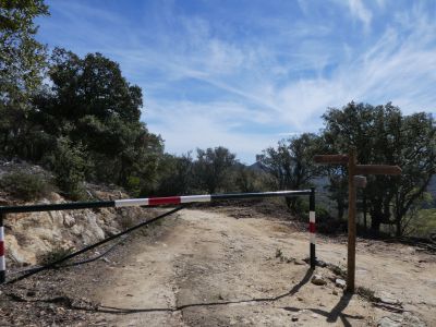 Croisement GR11 avant Requesens