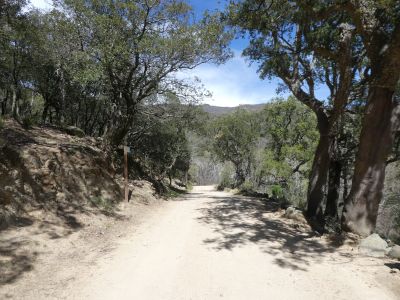 Croisement après Requesens